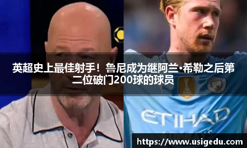 彩神VI首页