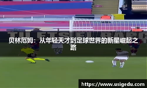 彩神VI首页