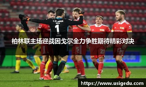 彩神彩票vIII