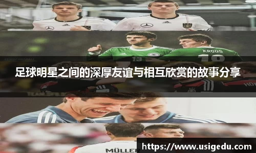 彩神VI首页官网