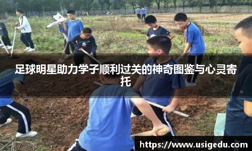 彩神VI首页官网