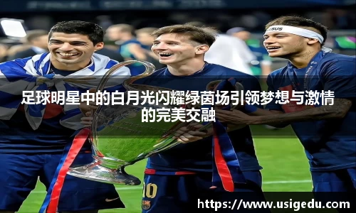 彩神VI首页官网