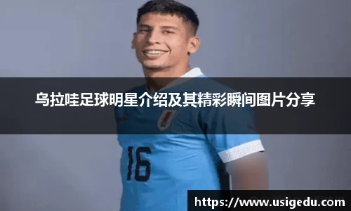 彩神VI首页官网