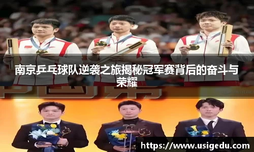 彩神VI首页官网